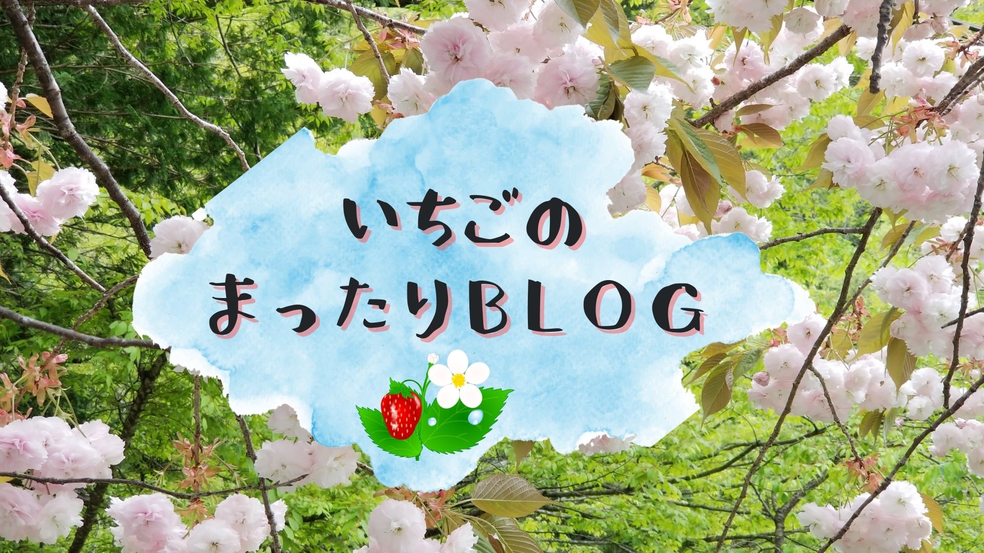 いちごのまったりblog